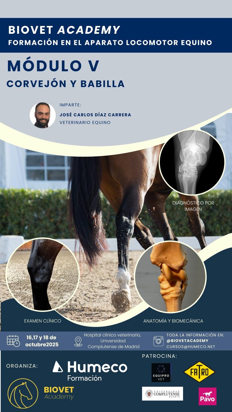 Protegido: módulo V( Madrid)